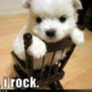 Meet your Posher, Cassie